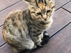 -UNIUNI(凯瑟琳广场店)