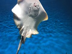 -福州罗源湾海洋世界旅游区