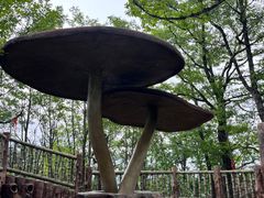 -塔云山