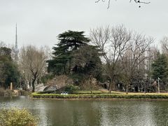 -泰州凤城河风景区-泰山公园