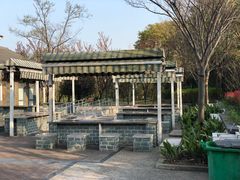 -吴淞炮台湾湿地森林公园烧烤区