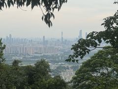 -火炉山森林公园