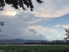 -庾园