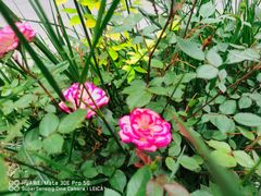 -会宾园·云山宴中餐