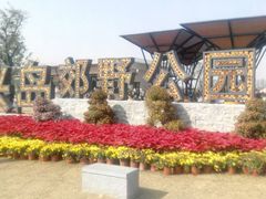 -上海长兴岛郊野公园