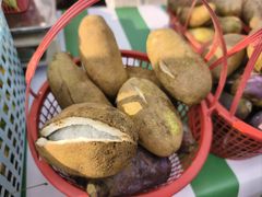 -浙江农林大学(东湖校区)