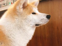 -YCHL Studios健身工作室(市二宫店)