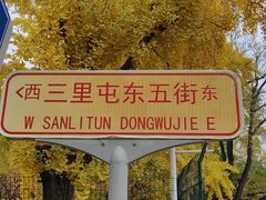 -三里屯东五街银杏大道
