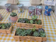 -贝乐少儿英语·全外教(滨江中心)