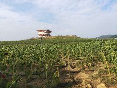 -光明小镇欢乐田园
