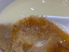 -凤城礼记鱼翅海鲜酒家(新马路总店)