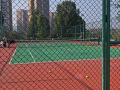 -东岳体育公园