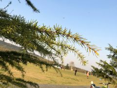 -钟山体育运动公园