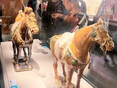 -徐州博物馆