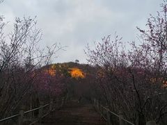 -天台山赤城山景区