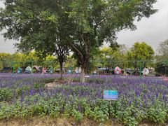 -广东花都香草世界旅游度假区