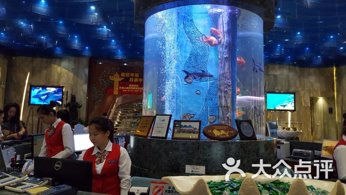 中潜潜水世界图片 第36张