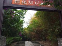 -三圣花乡旅游区