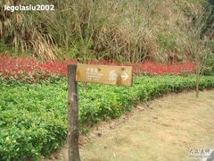 -千岛湖龙川湾