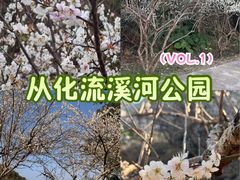 -广州市流溪河国家森林公园