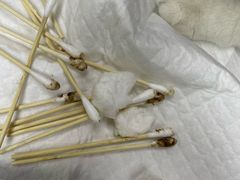 -中农国际动物医院24小时·猫科·骨科·急重症中心