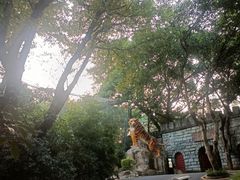 -紫马岭公园