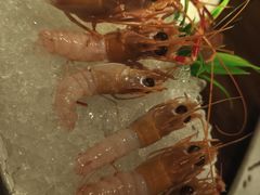 -京料理·日料自助·铁板燒(复悦城店)
