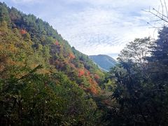 -王顺山国家森林公园