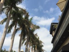 -鼓浪屿内厝澳码头(轮渡站)