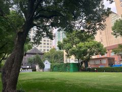 -复旦大学附属华山医院(总院)