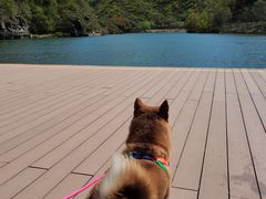 -玉渡山自然风景区