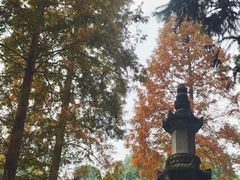 -都江堰普照寺
