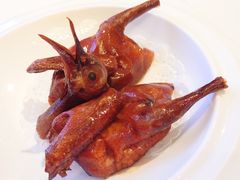 红烧乳鸽-陶陶居酒家(第十甫路总店)