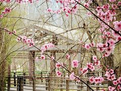 -沐仙湖湿地公园
