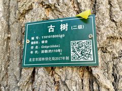 -自如ZSPACE四合院艺术餐厅