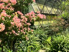-荔香公园