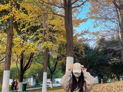 -堤角公园