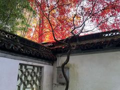 -秋霞圃