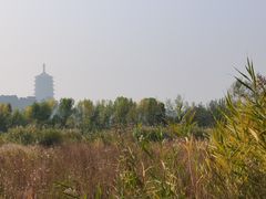 -永定河休闲森林公园