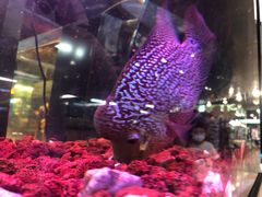 -宠物世家(仲盛世界商城店)
