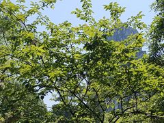 -南溪山景区