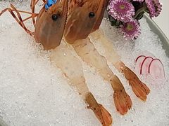 -欢乐海岸美食联盟