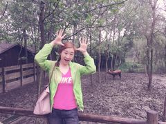 iphone_upload_pic-溱湖国家湿地公园