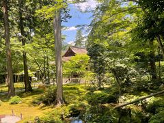 -三千院