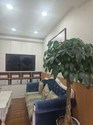 -成都苗方清颜专业祛痘