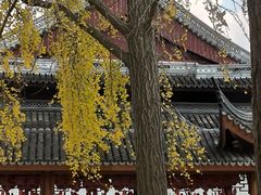 -上海东林寺(金山区)
