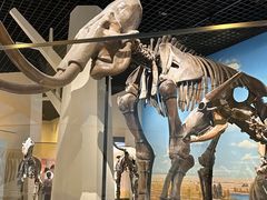 -国家自然博物馆