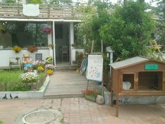 android_upload_pic-海边的猫和咖啡馆
