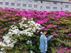 -长阳创谷