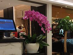 -皇朝尊会(龙之梦大酒店)